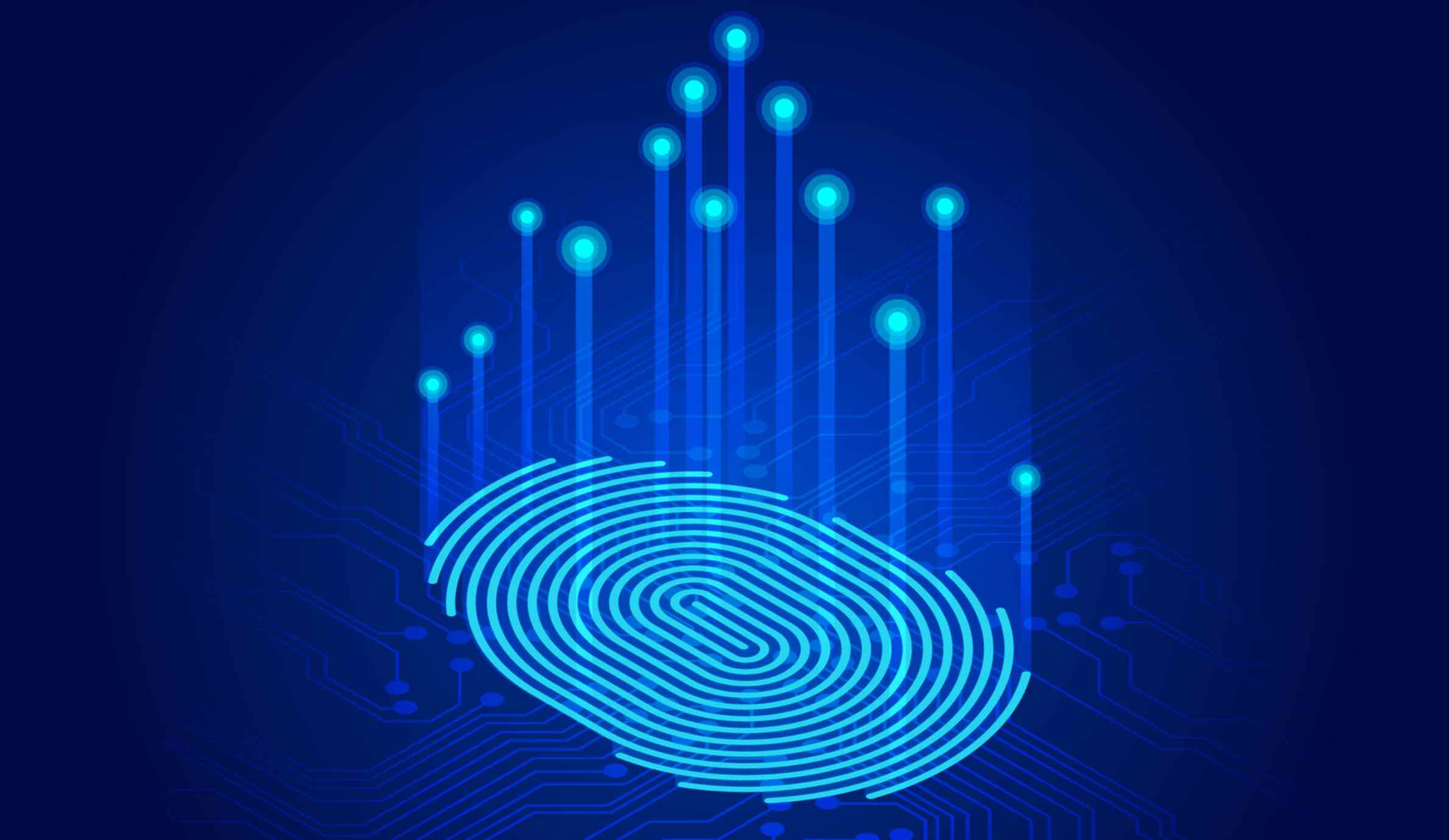 Digital identity fingerprint